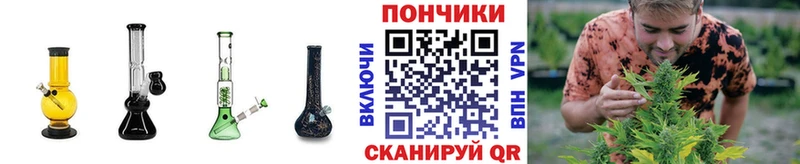 закладка Новотитаровская darknet как зайти Каннабис AK-47